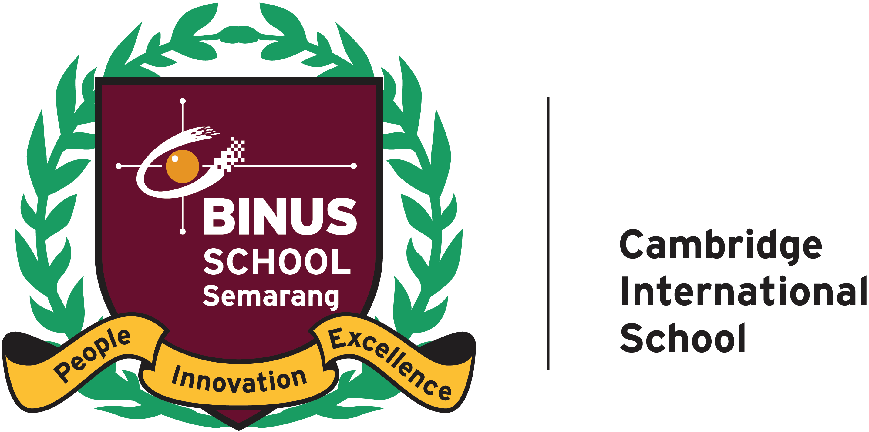 Binus School